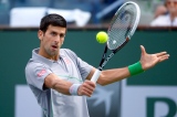 Novak Djokovic Novak Djokovic