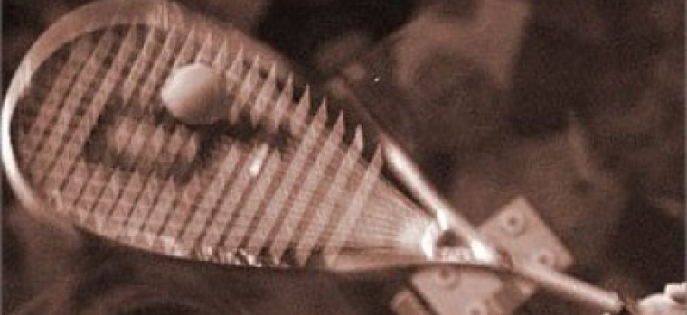 351183.jpg