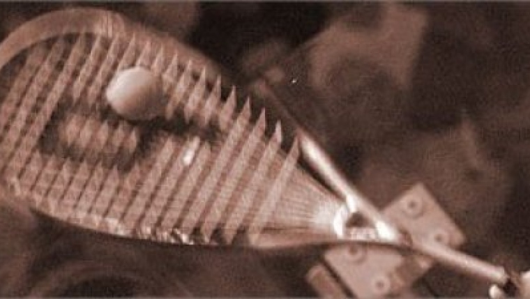 351183.jpg