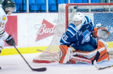 Potvin, Neill et Chlapik nommés joueurs de la semaine