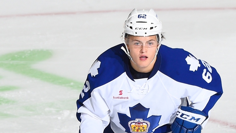 William Nylander rejoindra la Suède au Championnat mondial de hockey junior Image