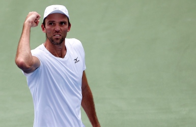 Karlovic accepte de revenir pour la finale