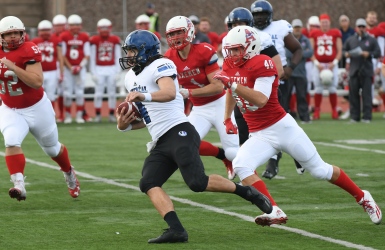 Les Carabins gardent leur fiche immaculée