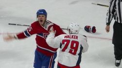 Shaw3.jpg