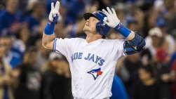 Jays40.jpg