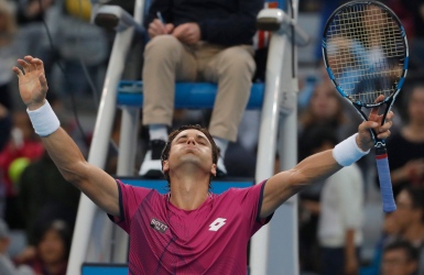 David Ferrer avance en quarts de finale