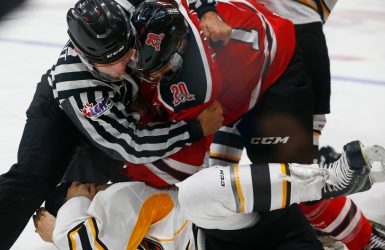 LHJMQ : Turcotte et Calgaro suspendus