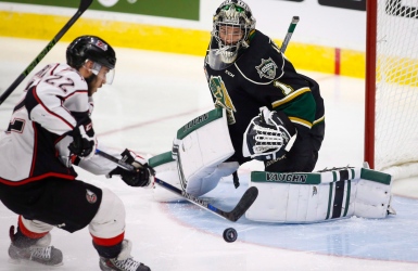 LHJMQ : les Huskies toujours invaincus