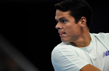 Abandon de Raonic, blessé à une cheville