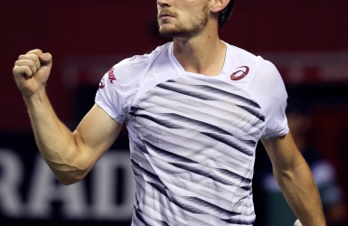 ATP : Une finale Goffin-Kyrgios à Tokyo