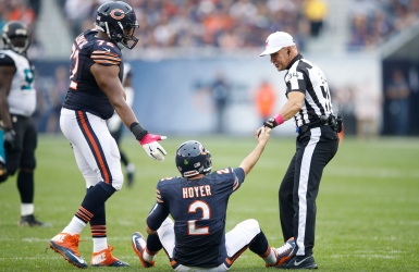 Les Bears forment un travail en évolution