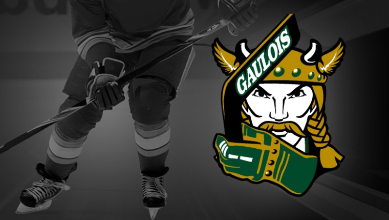 Logo Gaulois de St-Hyacinthe Image Logo Gaulois de St-Hyacinthe