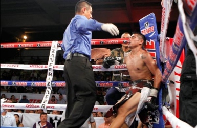 La boxe dans l'arène judiciare La boxe dans l'arène judiciare