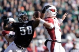 Trent Cole et Carson Palmer