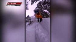 vonn.jpg