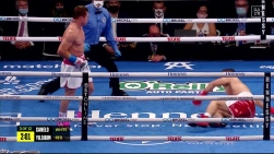 Canelo.jpg