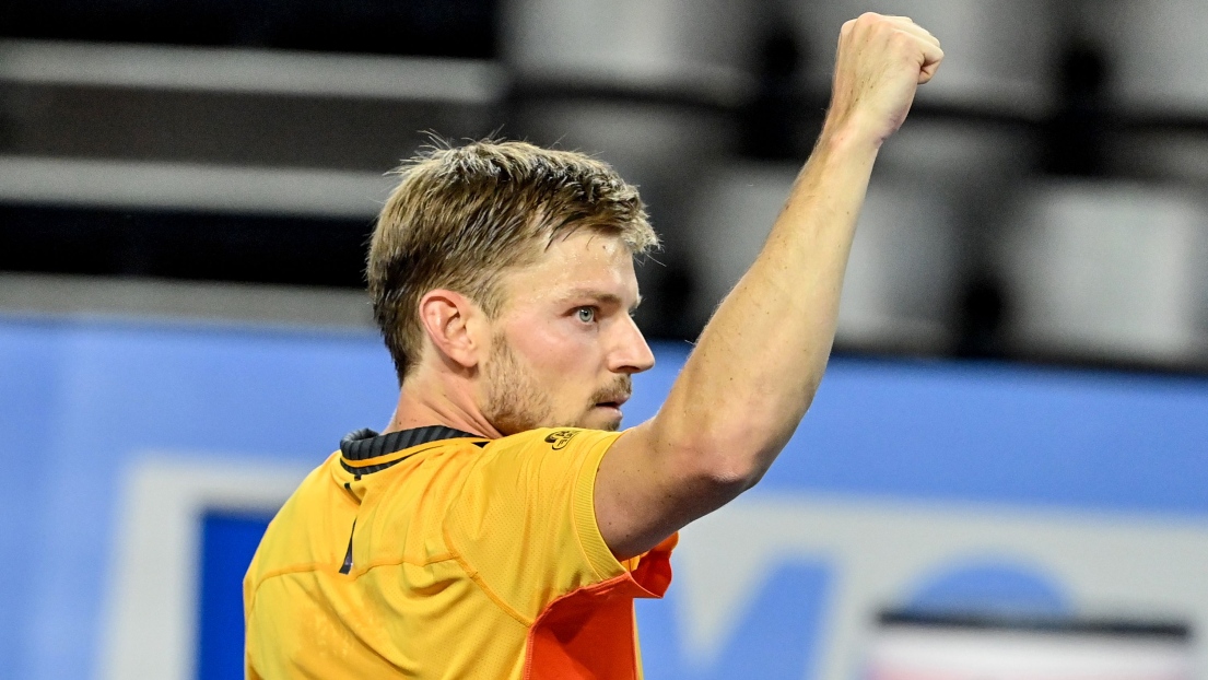 David Goffin