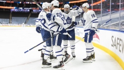 Leafs7.JPG