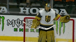 fleury.jpg
