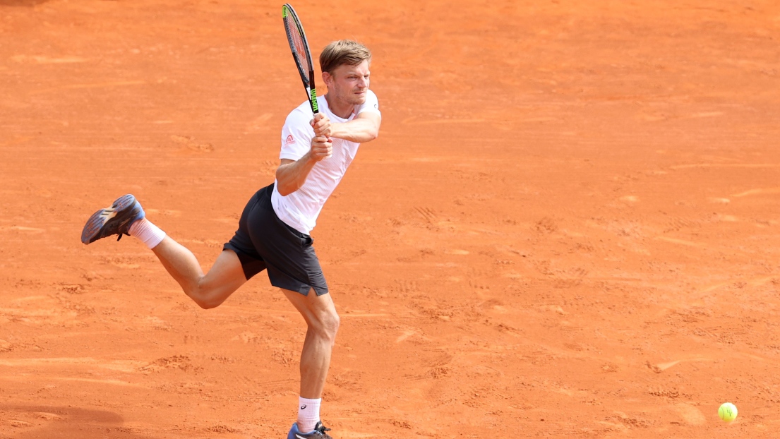 David Goffin