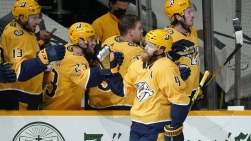 Preds10.jpg