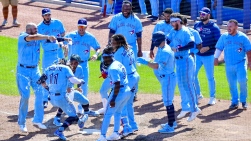 Jays9.jpg