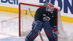 carey.jpg