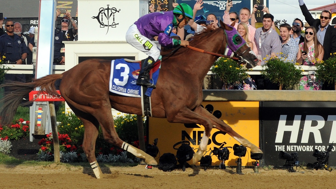 California Chrome