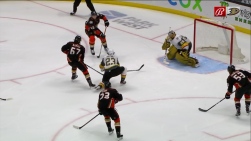 ducksVVV.jpg