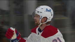Staal10.jpg