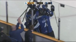 SeaDogs2.jpg