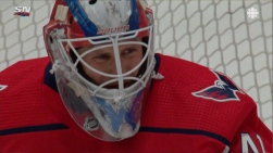 vitek.jpg