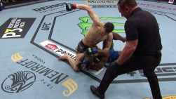 ufc4.jpg