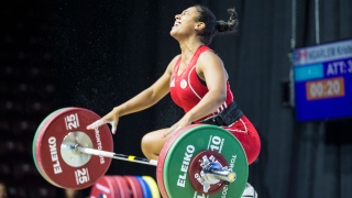 Kristel Ngarlem