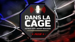 cage.jpg
