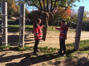 Le lundi 6 octobre se tenait notre visite annuelle au zoo. C'est l'heure des prédictions! Le 5 à 7 au zoo