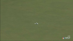 Koepka.jpg