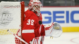 Alex Nedeljkovic