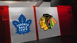 Leafs19.jpg