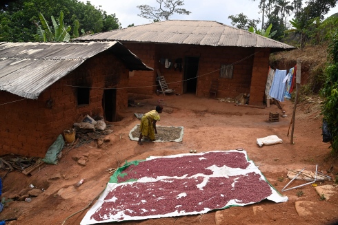 La maison où a vécu Francis Ngannou pendant son enfance au Cameroun.
