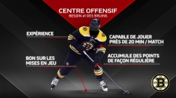 Bruins2.jpg
