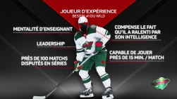 Wild3.jpg