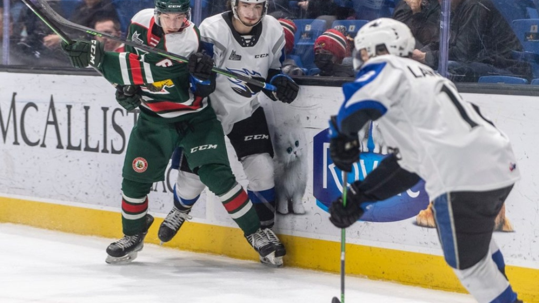 Mooseheads c. Sea Dogs