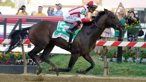 Early Voting triomphe au Preakness Stakes