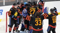 SeaDogs.JPG
