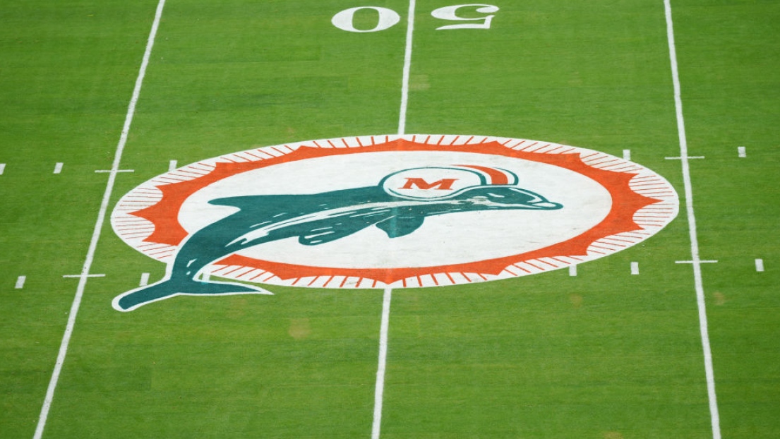 Logo des Dolphins