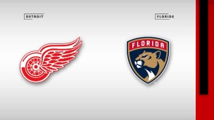 Red Wings 1 - Panthers 5