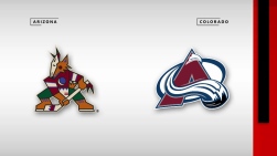 avs.jpg