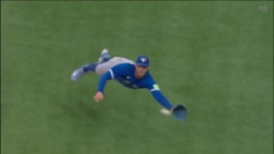 Springer11.jpg