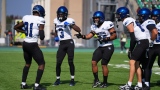 Les  Carabins